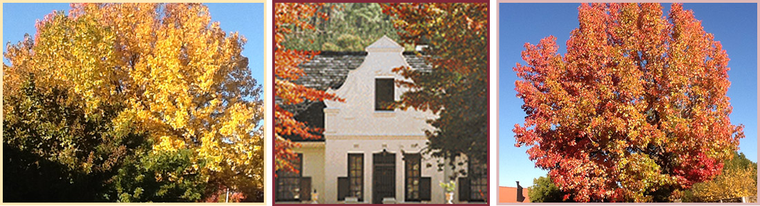 Chantilly Guest House: Luxury Accommodation in Ceres